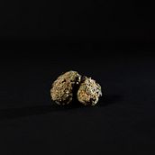 Jalisco Cannabis Cup 2021. Un progetto di Eventi e Comunicazione di rceciliaortiz - 10.11.2021