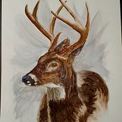 Stag in watercolor 02. Projekt z dziedziny Trad, c, jna ilustracja, Malowanie akwarelą,  Sztuki piękne i Sketching użytkownika Henriëtte Doornwaard - 19.02.2022