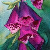 My gouache & watercolor. Watercolor Painting, Realistic Drawing, Artistic Drawing, Botanical Illustration, Naturalistic Illustration, Traditional illustration, Painting, Creativit, Gouache Painting, Fine Arts, and Character Design project by Adriana - 02.19.2022
