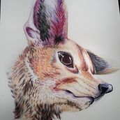 Il mio progetto del corso: Illustrazione surrealista ispirata alla natura. Traditional illustration, Pencil Drawing, Drawing, Artistic Drawing, Naturalistic Illustration, and Colored Pencil Drawing project by Daniela Falaschi - 02.19.2022