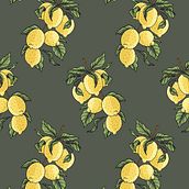 My project in Creating Botanical Patterns from a Drawing course. Digital Illustration, Botanical Illustration, and Digital Drawing project by Evgeniia evasol - 02.19.2022