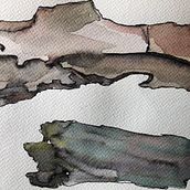 Color y Naturaleza. Traditional illustration, Fine Arts, Color Theor, Watercolor Painting, and Botanical Illustration project by Maria del Lluc Bevià Jiménez - 02.19.2022