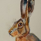 My project in Expressive Animal Portraits in Watercolor course. Un progetto di Illustrazione tradizionale, Pittura ad acquerello, Disegno realistico e Illustrazione naturalistica di Trevor Clifford - 20.02.2022