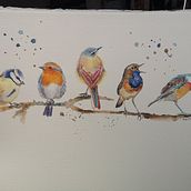 My project in Artistic Watercolor Techniques for Illustrating Birds course. Traditional illustration, Watercolor Painting, Realistic Drawing, and Naturalistic Illustration project by lisabranc - 02.20.2022