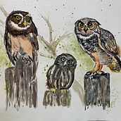 My project in Artistic Watercolor Techniques for Illustrating Birds course. Traditional illustration, Watercolor Painting, Realistic Drawing, and Naturalistic Illustration project by drleeberg - 02.21.2022