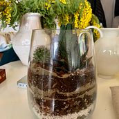 My project in Plant Art: Create Your Own Open Terrarium  course. Design de interiores, Paisagismo, Decoração de interiores, DIY, e Design floral e vegetal projeto de fiveagle - 20.02.2022
