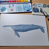 Ballena Azul. Un progetto di Illustrazione tradizionale, Design di poster , Illustrazione digitale e Manga di Julieta Coronel - 21.02.2022