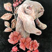 Il mio progetto del corso: Illustrazione surrealista ispirata alla natura. Een project van Traditionele illustratie, Tekening met potlood,  Tekening,  Artistieke tekening, Naturalistische illustratie y Tekenen met kleurpotloden van Lucia Cardillo - 22.02.2022