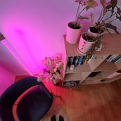 Mi jungla urbana en el estudio. Interactive Design, Decoration, Interior Decoration, DIY, Floral, Plant Design, and Spatial Design project by mmagdalenawagner - 02.22.2022