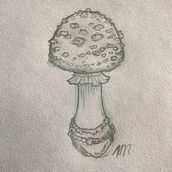 My project in Botanical Tattoo with Pointillism course: Toadstool. Traditional illustration, Tattoo Design, and Botanical Illustration project by nuts912 - 02.15.2022