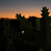 ESTUDO DE LUZ. Un proyecto de Fotografía de Tomás Deola - 23.02.2022