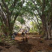 Sendero natural palo santo Guayaquil . Un projet de Design , Illustration traditionnelle, Photographie, Architecture, Éducation, Événements, Beaux Arts, Architecture d'intérieur, Pa, sagisme, Collage, B, e dessinée, Art urbain, Réseaux sociaux et Instagram de Leonardo Rodriguez - 23.02.2022