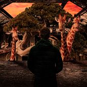 Mi Proyecto del curso: Secretos del fotomontaje y el retoque creativo. Een project van Fotografie, Fotografische postproductie, VFX, Retoucheren van foto's, Artistieke fotografie, Fotografische compositie y Fotomontage van jesus_pameb - 24.02.2022