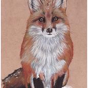 Zorrito. Traditional illustration, Fine Arts, and Watercolor Painting project by Estrella Rubilar - 02.21.2022