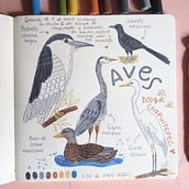 Mi Proyecto del curso: Diario ilustrado: una práctica diaria y consciente. Fine Arts, Sketching, Creativit, Drawing, and Sketchbook project by Sus hs - 02.24.2022