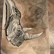 Rhino . Un progetto di Illustrazione tradizionale di Rolando Anchia - 24.02.2022
