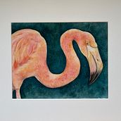 Betty the flamingo . Een project van Schilderij y Aquarelschilderen van Caitlin - 24.02.2022