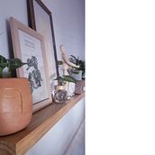 Mi Proyecto del curso: Decoración expresiva con plantas de interior. Un progetto di Interior design, Paesaggismo, Interior Design, Interior Design, DIY, Design floreale e vegetale e Progettazione dello spazio di Viviana - 25.02.2022