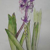 Mein Kursprojekt: Botanisches Zeichenheft: ein meditativer Ansatz. Traditional illustration, Sketching, Drawing, Watercolor Painting, Botanical Illustration, and Sketchbook project by meggierosie - 02.25.2022