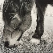 My project in Artistic Charcoal Portraiture: Creating Atmosphere course. Traditional illustration, Fine Arts, Drawing, Portrait Drawing, and Artistic Drawing project by cmurzeau - 02.24.2022