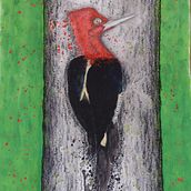 Pica-Pau-Rei. Painting, and Watercolor Painting project by Marinês Eiterer - 02.25.2022