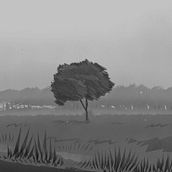 PAISAJES 2022. Un progetto di Illustrazione tradizionale di Álvaro M. Torres - 25.02.2022