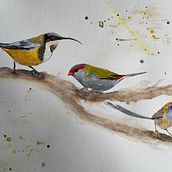 My project in Artistic Watercolor Techniques for Illustrating Birds course. Traditional illustration, Watercolor Painting, Realistic Drawing, and Naturalistic Illustration project by kate_sp - 02.26.2022