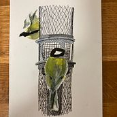 My project in Illustrating Nature: A Creative Exploration course. Traditional illustration, Painting, Drawing, Watercolor Painting, Ink Illustration, and Naturalistic Illustration project by rmreed - 02.26.2022