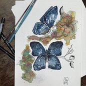 Aquarela Borboletas. Projekt z dziedziny Tradycyjna ilustracja, Malarstwo, Rysunek, Malowanie akwarelą, Instagram, Rysunek botaniczny i Malarstwo dekoracyjne użytkownika Guttemberg Salomão - 03.11.2021