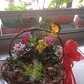 Mini Jardines Ein Projekt aus dem Bereich H und werk von Carmen Elsa Segura - 27.02.2022