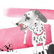 Georgia: A Pet Portrait. Un progetto di Illustrazione tradizionale, Pittura ad acquerello e Design digitale di Kim Farrell - 27.02.2022