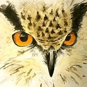 Aquarellbilder. Fine Arts project by Dieter Becker - 02.28.2022