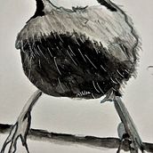 Tonal Bird Ein Projekt aus dem Bereich Aquarellmalerei von Mary Lou Fisher - 28.02.2022
