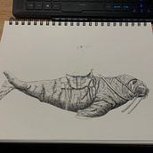 Penguin riding a walrus. Traditional illustration, Pencil Drawing, Drawing, Realistic Drawing, Artistic Drawing & Ink Illustration project by Christian - 02.28.2022
