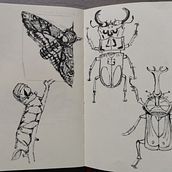 My project in Daily Sketching for Creative Inspiration course. Traditional illustration, Sketching, Creativit, Drawing, and Sketchbook project by Dehaerne Deborah - 03.01.2022