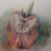 My project in Surrealist Illustration Inspired by Nature course. Traditional illustration, Pencil Drawing, Drawing, Artistic Drawing, Naturalistic Illustration, and Colored Pencil Drawing project by Chan D - 03.01.2022