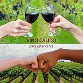 VINO CÁLIDO. Para estar cerca.. Marketing, Stor, telling, Br, and Strateg project by María Alexandra Villasuso López - 03.15.2022