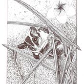 My project in Naturalist Illustration with Ballpoint Pen  course. Traditional illustration, Drawing, Realistic Drawing, and Naturalistic Illustration project by mcpaan - 03.03.2022