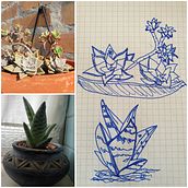 Il mio progetto del corso:  Sketchbook botanico: un approccio meditativo Ein Projekt aus dem Bereich Traditionelle Illustration, Skizzenentwurf, Zeichnung, Aquarellmalerei, Botanische Illustration und Sketchbook von Shona Secor - 04.03.2022