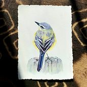My project in Artistic Watercolor Techniques for Illustrating Birds course. Traditional illustration, Watercolor Painting, Realistic Drawing, and Naturalistic Illustration project by Jade - 03.04.2022