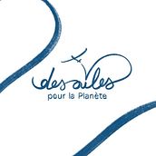 Des ailes pour la planète. Un proyecto de Diseño e Ilustración tradicional de Carole Conan - 04.03.2022