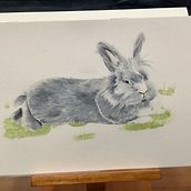 Mi Proyecto del curso: Retratos expresivos de animales en acuarela. Un proyecto de Ilustración tradicional, Pintura a la acuarela, Dibujo realista e Ilustración naturalista				 de Melissa Ternicien - 04.03.2022