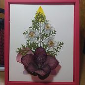 Mi Proyecto del curso: Técnicas básicas de prensado botánico. Arts, Crafts, Fine Arts, Collage, DIY, Floral, and Plant Design project by Jose De Los Cobos - 03.03.2022