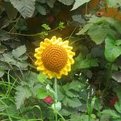 Mi Proyecto del curso: Diseño y creación de amigurumis. Projekt z dziedziny Craft, Projektowanie zabawek,  Tkactwo, Sz, dełkowanie, Amigurumi, Wzornictwo tekst i liów użytkownika Pamela Soliz - 04.03.2022