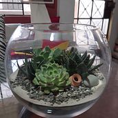 Mi Proyecto del curso: Arte vegetal: crea tu propio terrario abierto. Interior Design, L, scape Architecture, Decoration, DIY, Floral, and Plant Design project by k.grados - 03.04.2022