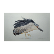 Mi Proyecto del curso: Acuarela naturalista con expresión y personalidad. Ilustração tradicional, Pintura em aquarela e Ilustração naturalista projeto de Ivany Argueta - 05.03.2022