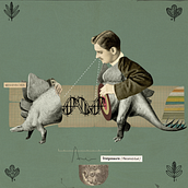 Stegosaurus. Collage, and Editorial Illustration project by Pablo Peiker - 03.02.2020