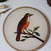 Meu projeto do curso: Needle painting para principiantes. Bordado, Ilustração naturalista, e Design têxtil projeto de Manoela Castejon - 05.03.2022