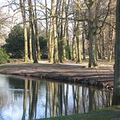In het park. Un proyecto de Fotografía de Marjolijn Bloemzaad - 05.02.2022