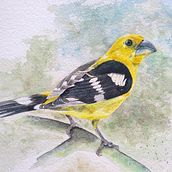 Mi Proyecto del curso: Acuarela artística para ilustración de aves Ein Projekt aus dem Bereich Traditionelle Illustration, Aquarellmalerei, Realistische Zeichnung und Naturalistische Illustration von Alfredo Esteban Salazar Borja - 06.03.2022